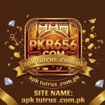 PKR656 Game