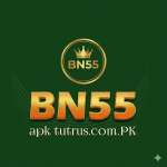 BN55 Game