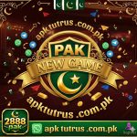 PakNew Game