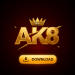 AK8 Game